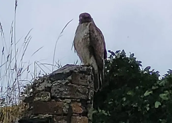 Sunny South East In Wexford * Blackwater